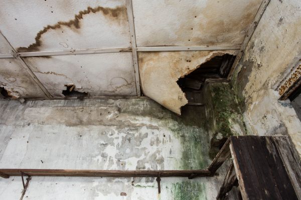 Cost of Water Damage Service in Rocklin