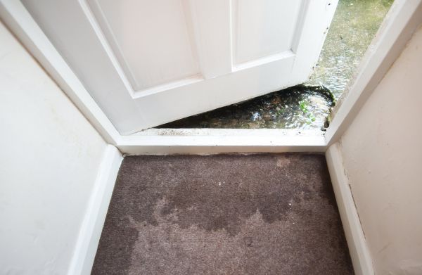 Cost of Wet Carpet Restoration in Rocklin