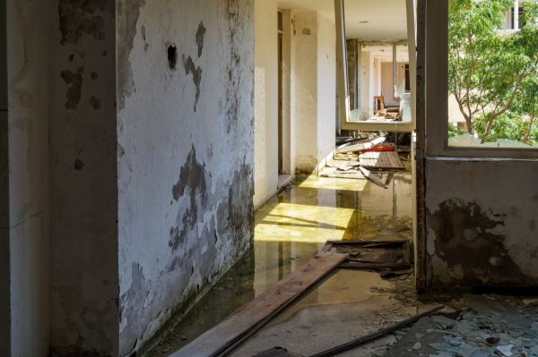Cost of Water Removal Service in Rocklin