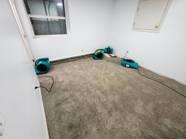 Flood Restoration Service in Rocklin