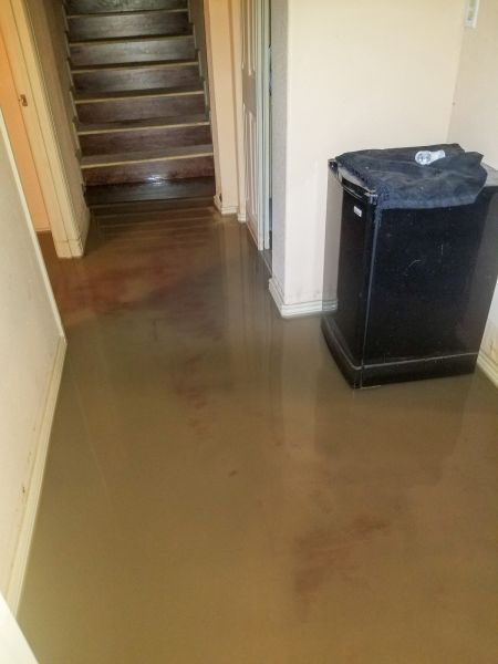 Cost of Emergency Water Removal in Rocklin