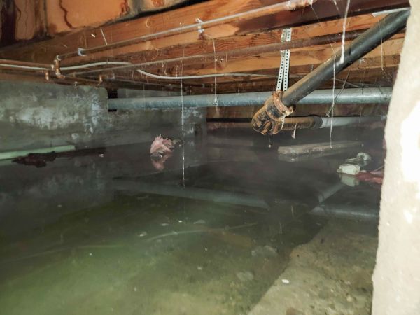 Cost of Crawlspace Water Restoration in Rocklin