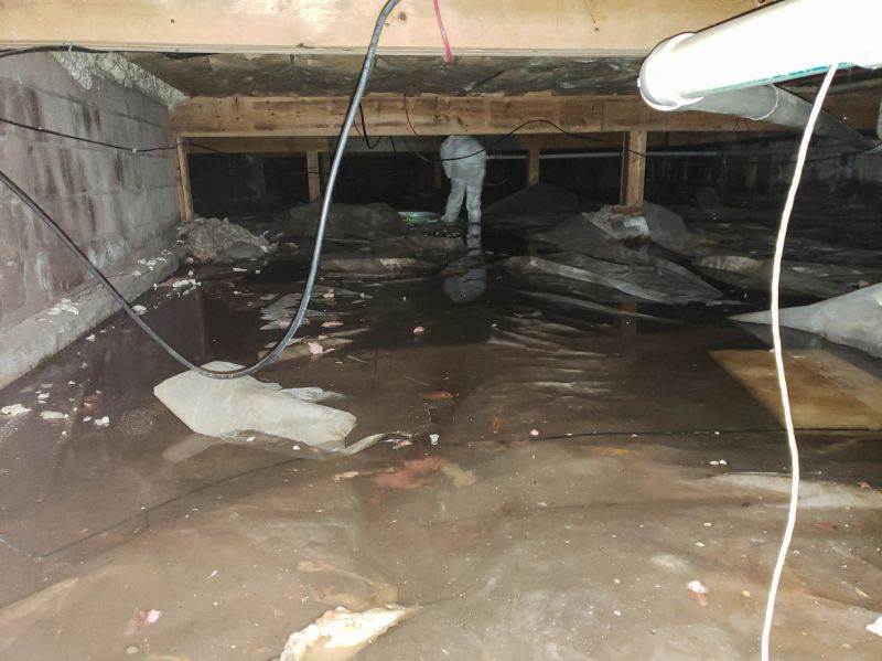 Flooded Basement Cleanup